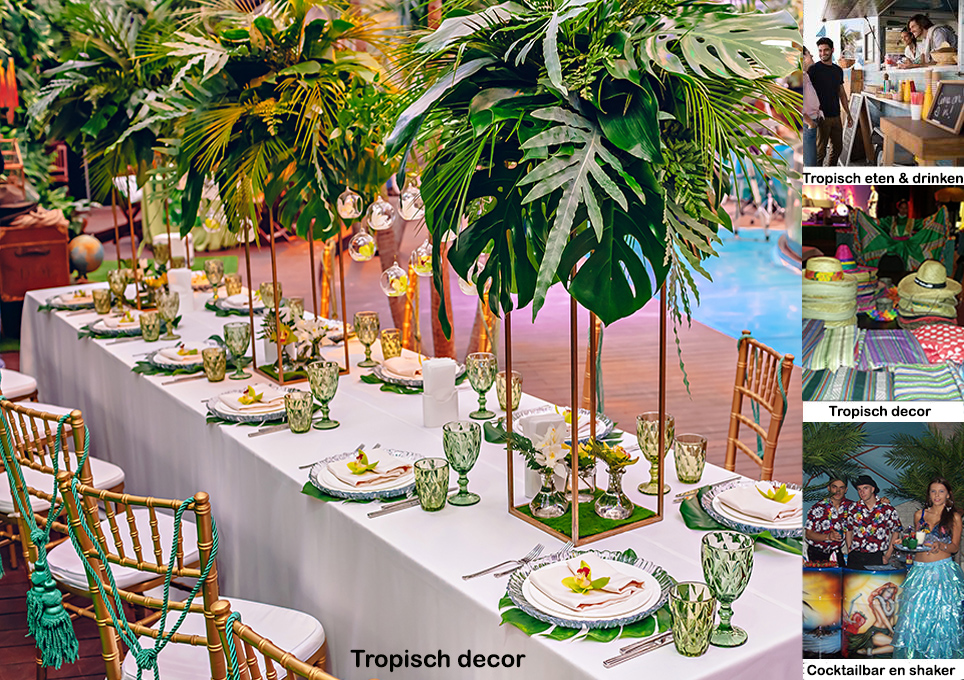 Tropische Dj voor uw tropisch feest
